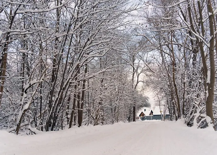 Dolina Barw - Caloroczne Na Wynajem